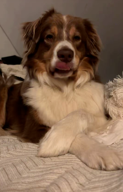 Unesse De La Vallée Du Bozançon